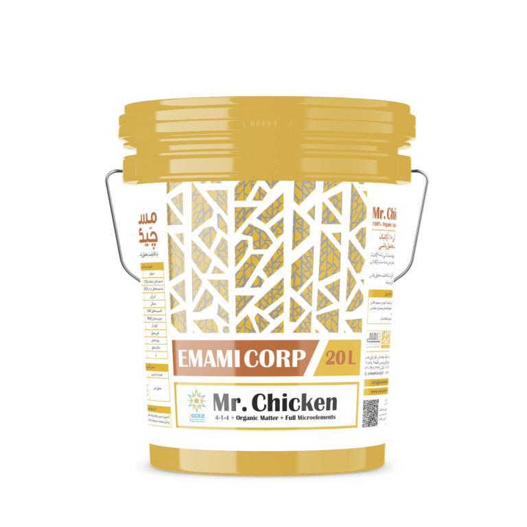 Mr