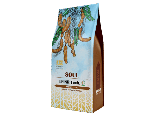 سول SOUL